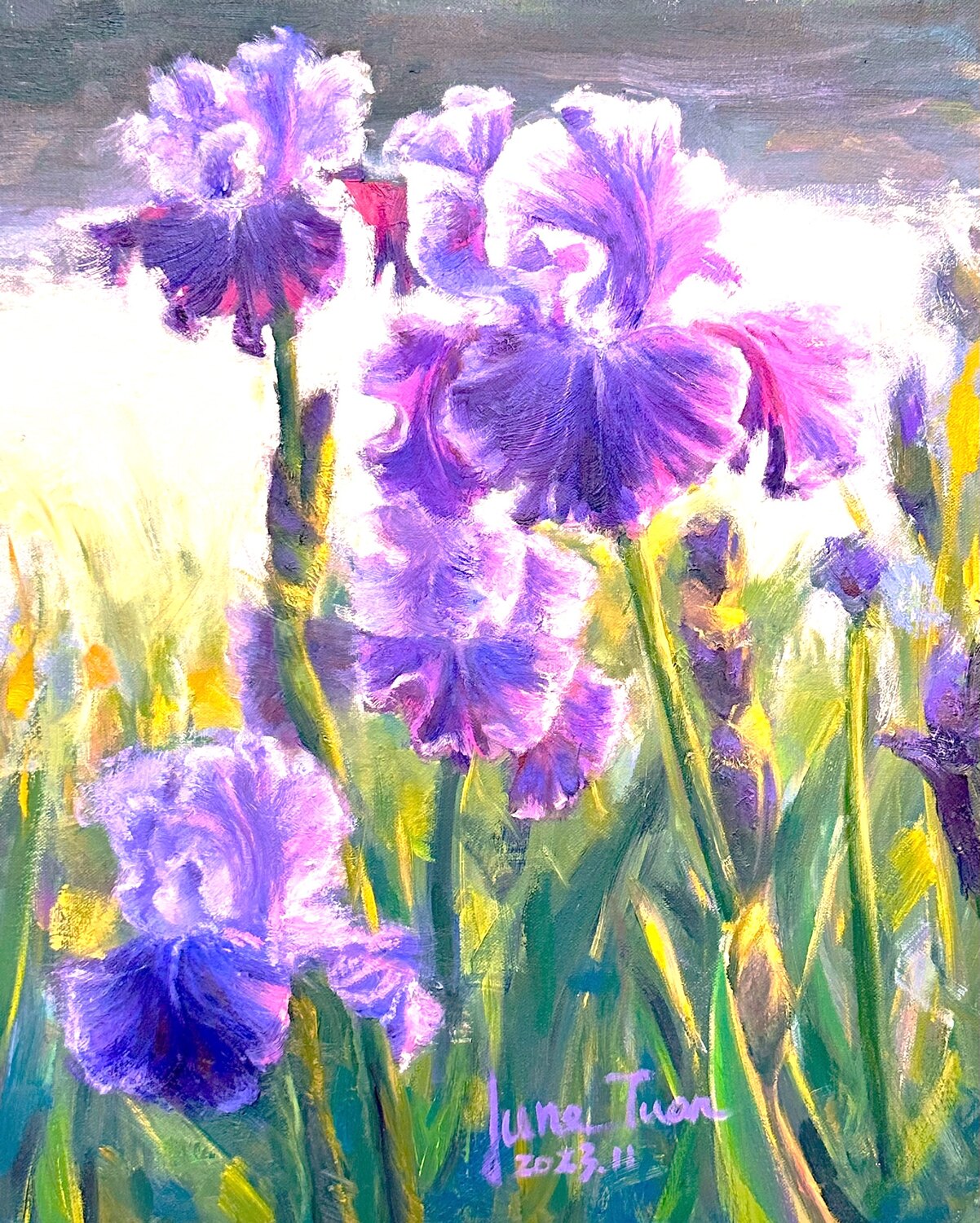 段逸君作品《晨光中的鳶尾花》